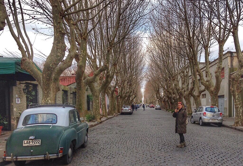 Street in Uruguay lined with trees