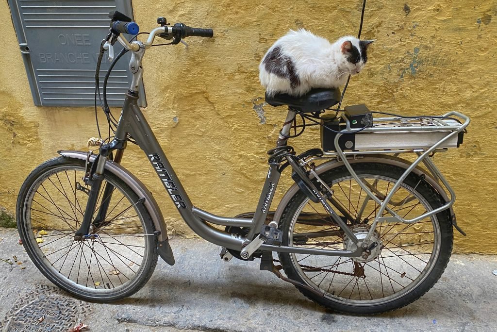 Stray cat resting on an ebike in a Moroccan alley.