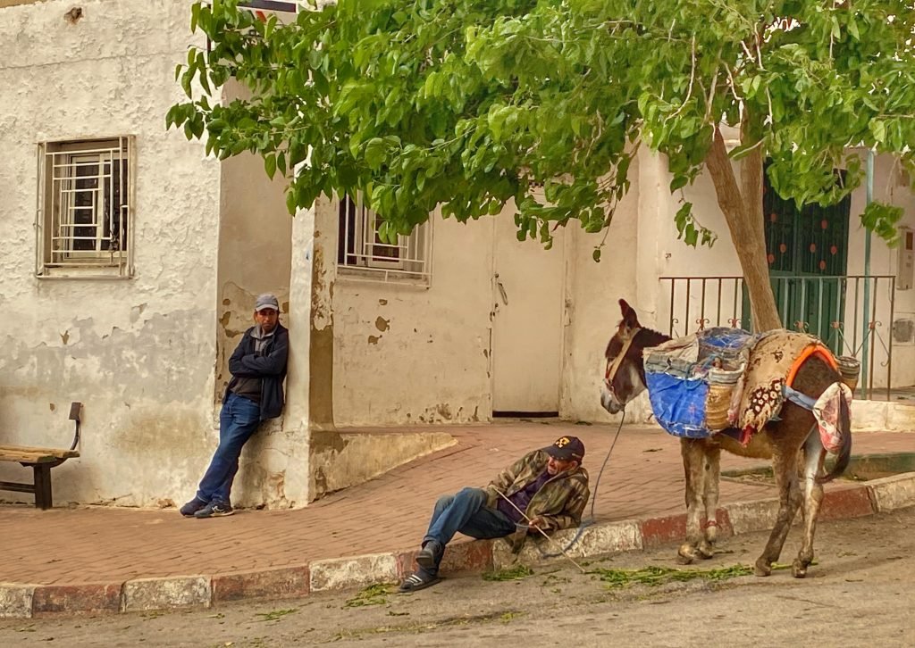 Man resting on the curb with his donkey behind him.