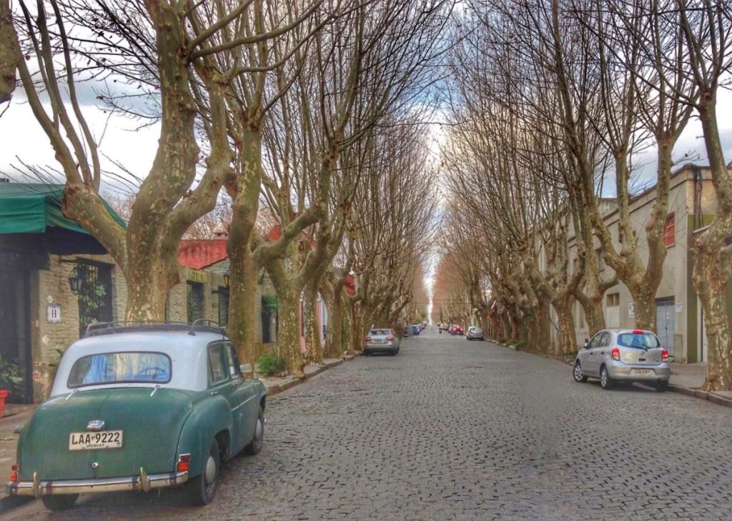 Street lined with trees in Uruguay