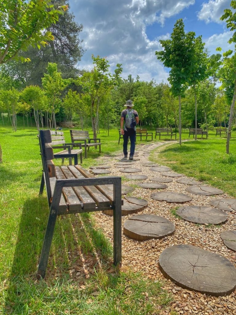 Trin walking down a path in the Grand Park of Tirana. Trees and grass surround the path. The stepping stones of the path are made of wood stumps.