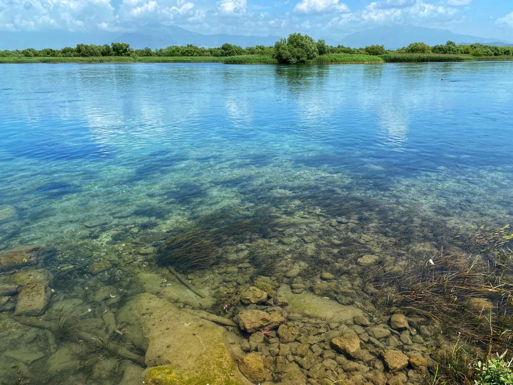 The swim-hole on Lake Shkodër