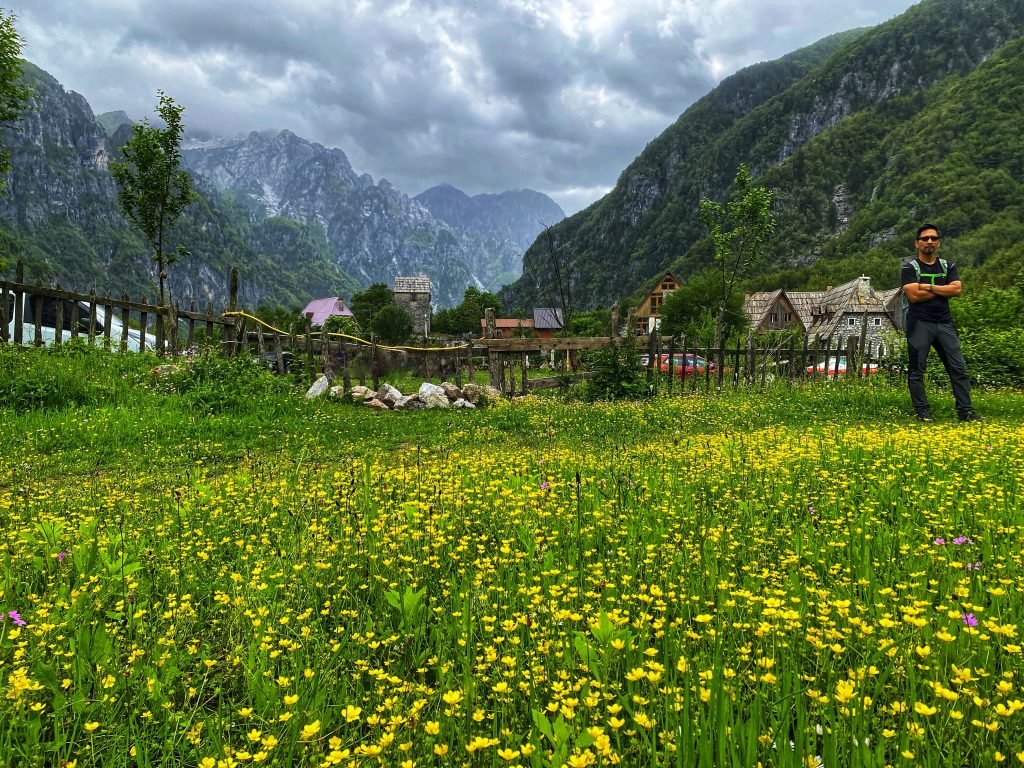 Flowers in the Theth valley with steep rocky mountains in the distance