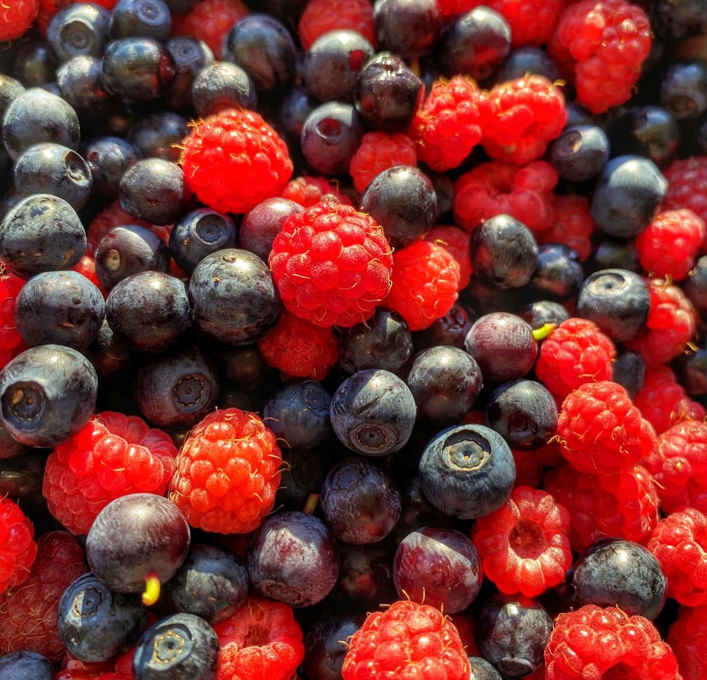 Blueberries and raspberries picked in Sweden