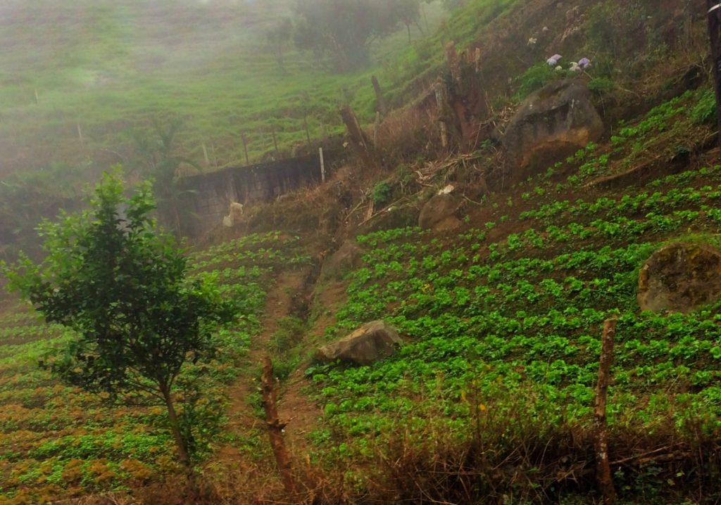 steep mountain side farms