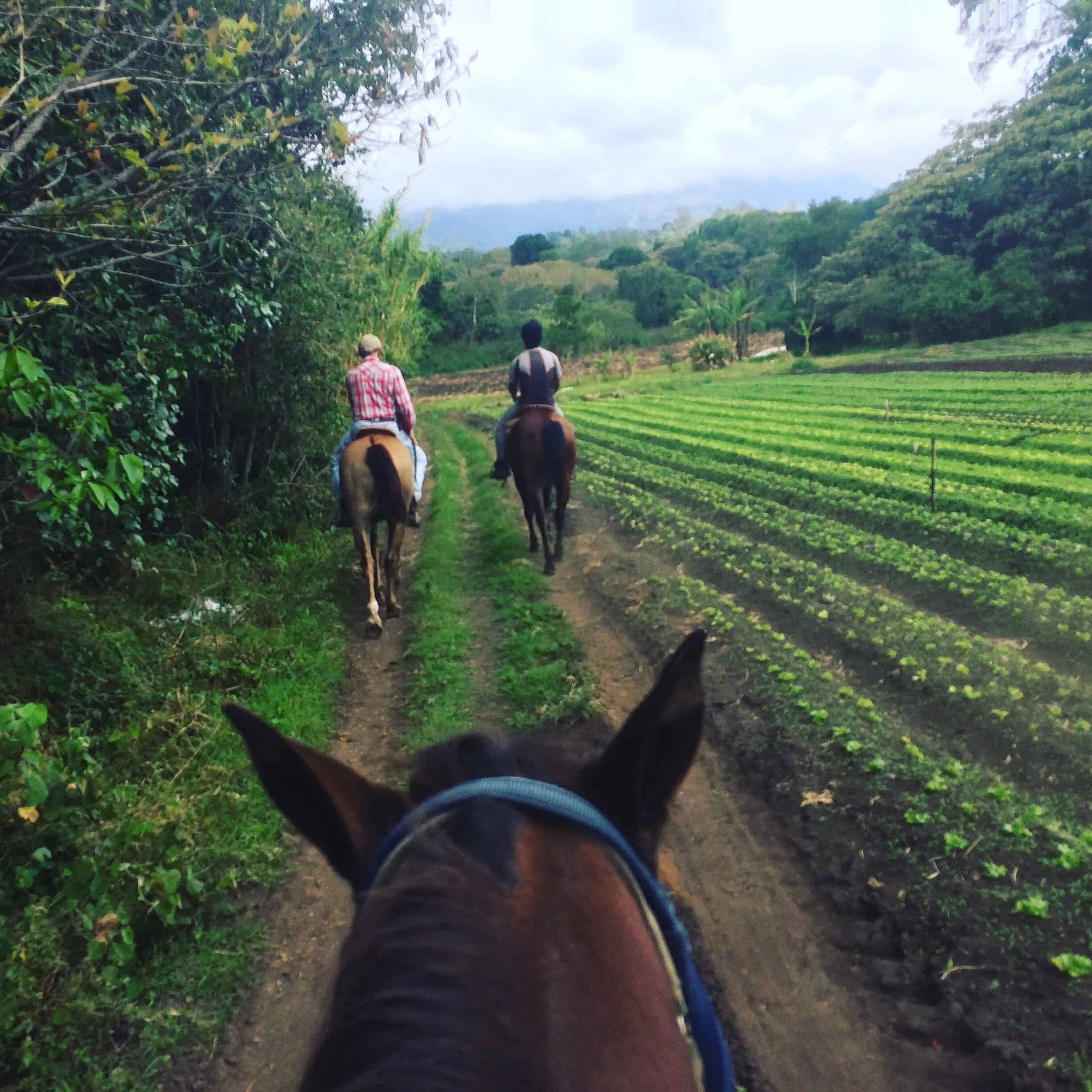 Riding on the trail from the Hacienda.