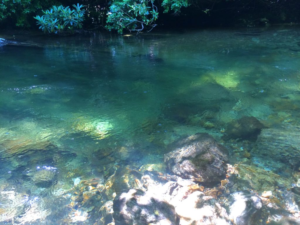 stream in the Great Smoky Mountains