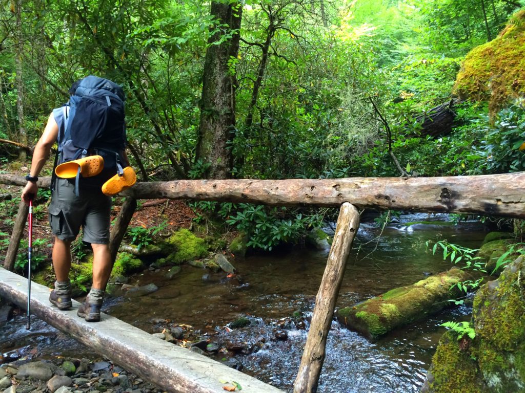 Bridge in the Great Smoky Mountains