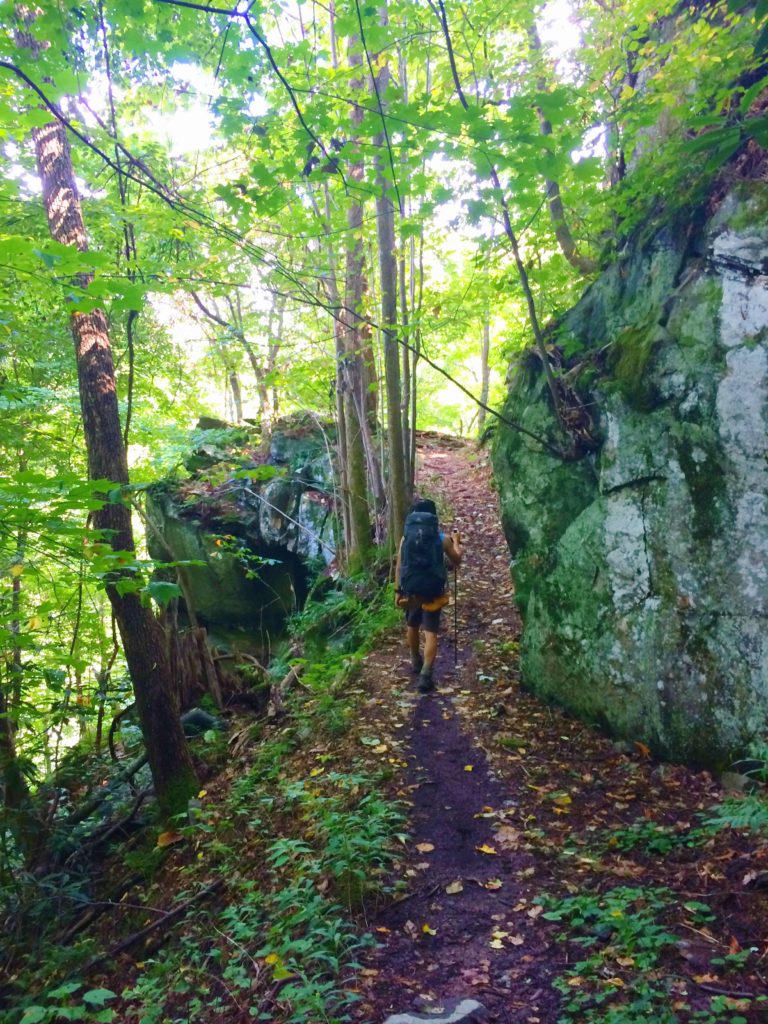 Trail in the Great Smoky Mountains