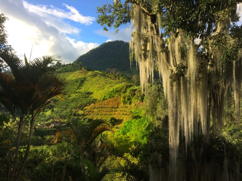 Steep Mountain farms in Jardín Colombia