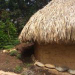 Artifacts in Arvi Park