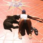 catching rays with JoJo