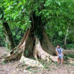 Tyrona Park in must see Colombia