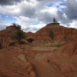 Tree in Tatacoa Desert Must see Colombia