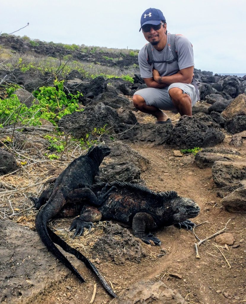 Marine Iguanas