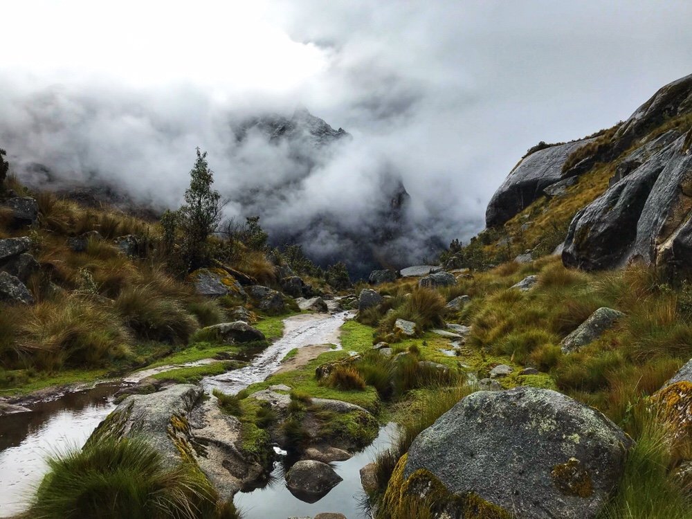 High Elevation near Punto Pass