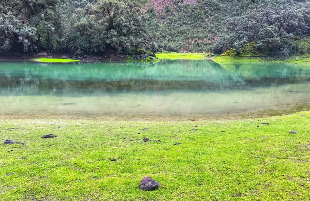 Pond on the Santa Cruz trek