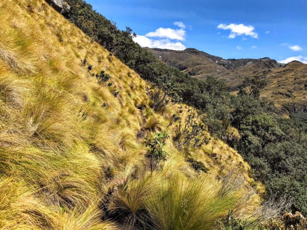 Trail in Cajas National Park things to do in Ecuador