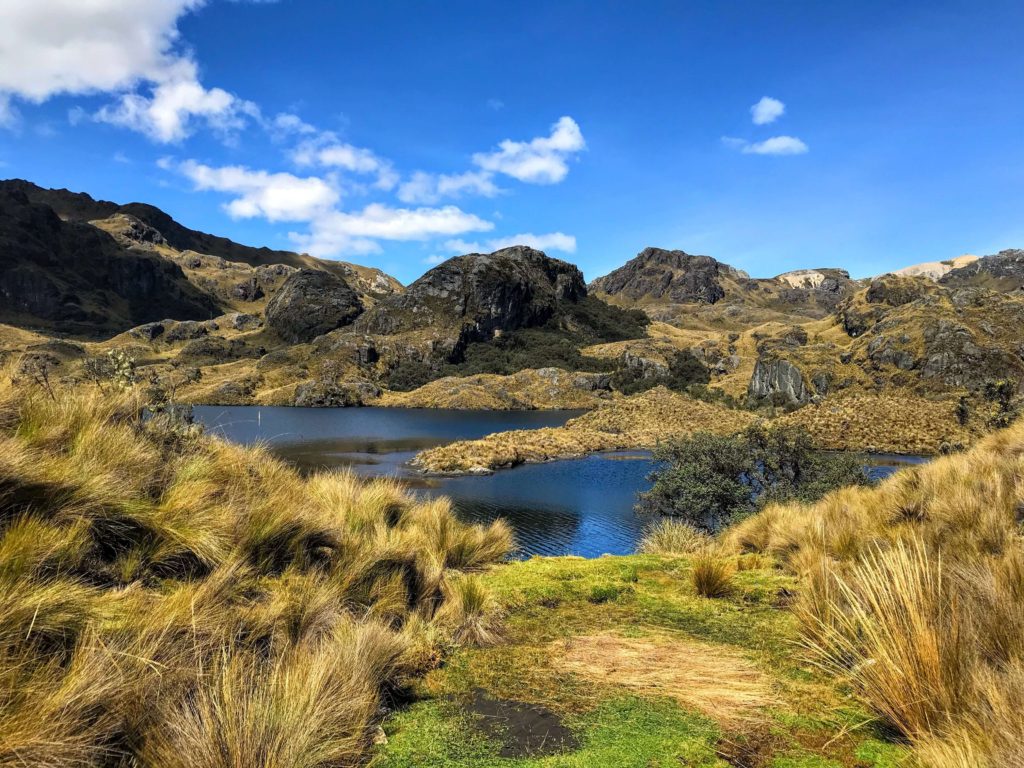 Cajas National Park things to do in Ecuador