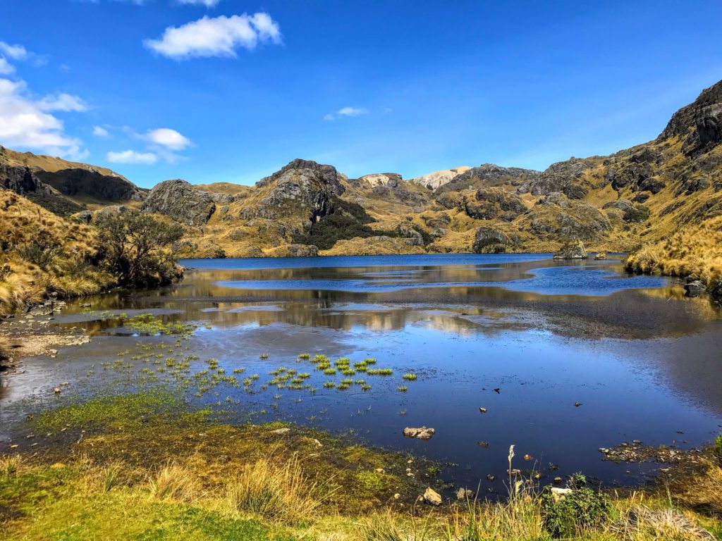 Cajas National Park things to do in Ecuador