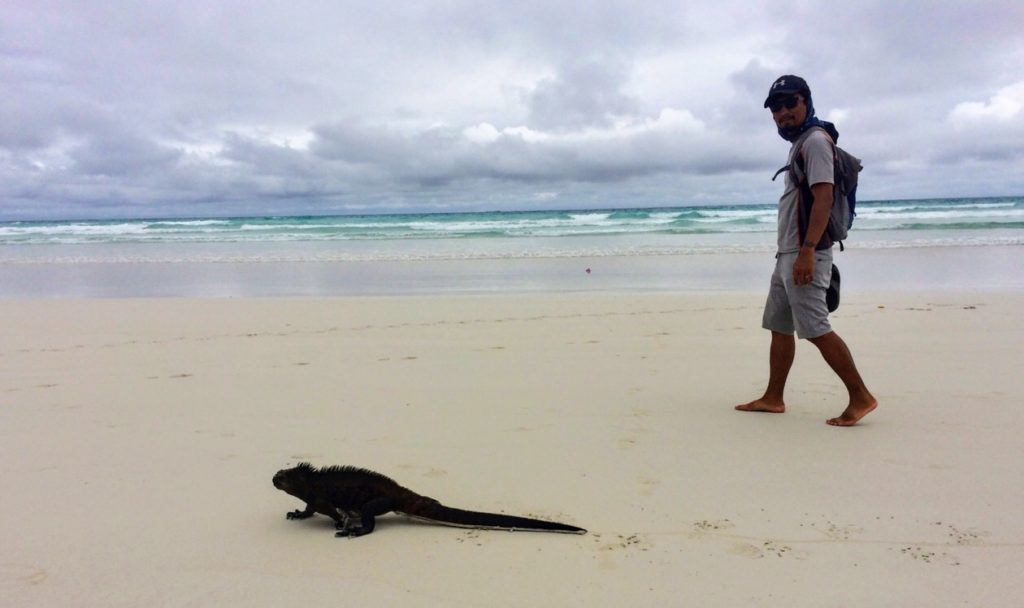Trin on the beach with a marine iguana