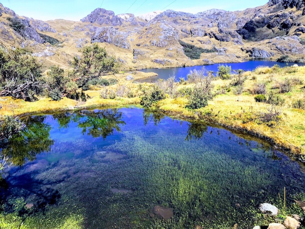 lake in Cajas National Park things to do in Ecuador
