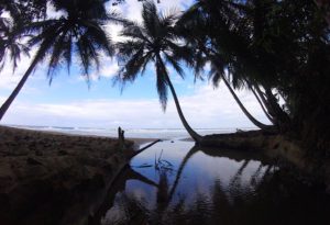 Manuel Antonio Park Costa Rica