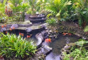 La Fortuna Hot Springs