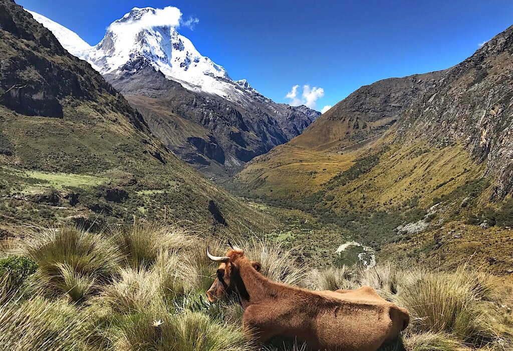 Snow Capped mountain: Peru Treks