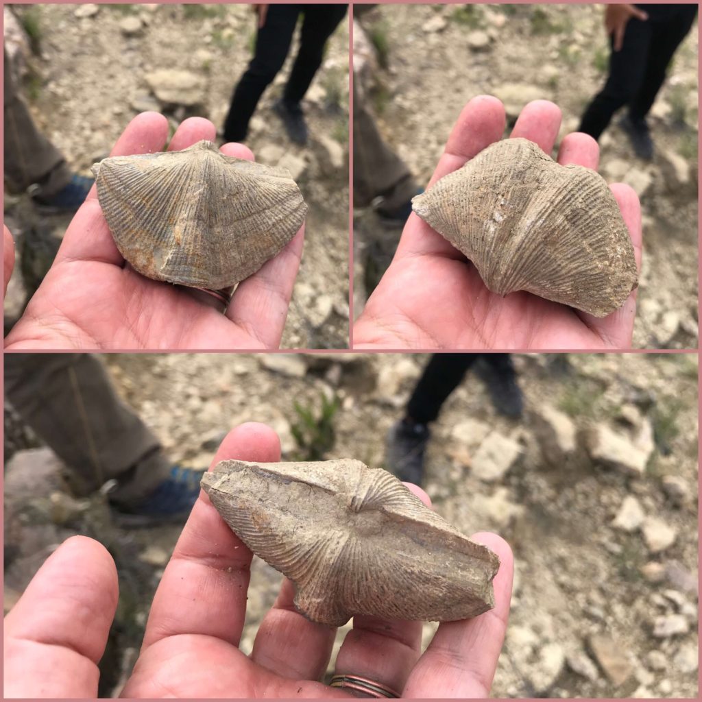 A perfect fossi on all sides in Torotoro
