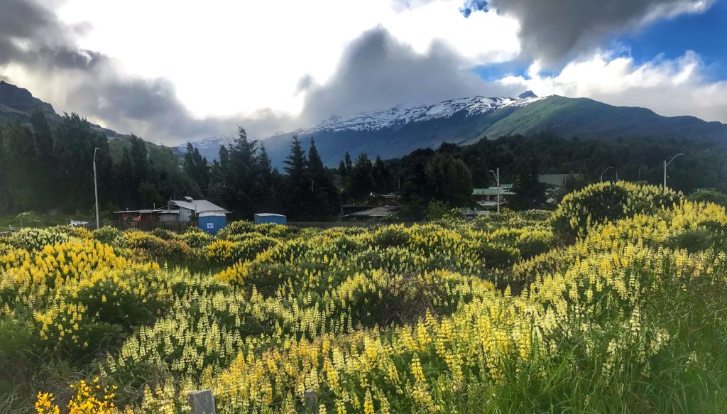 The town of xx was in bloom. From here we took the boat to the marble caves Chile