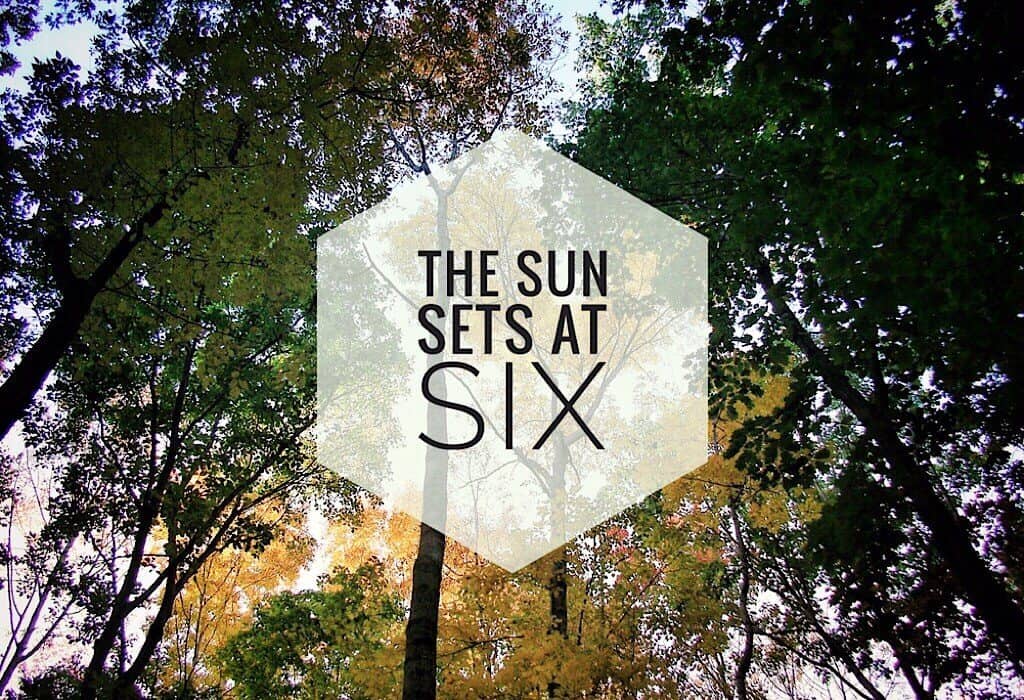 Looking up into the trees, the sun sets at six