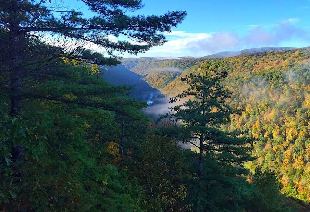 Pine Creek Valley Overlook with fog in the valley deep below