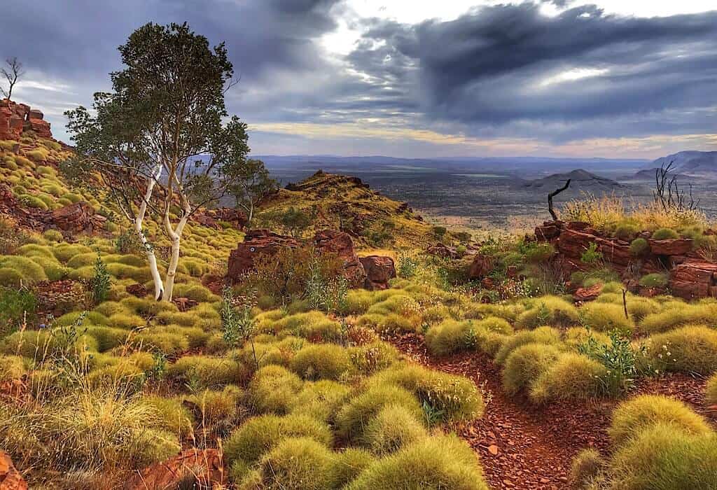 View of the wide valley around Mount Bruce in Karijini NP