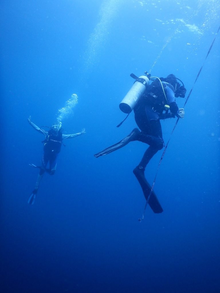 Two divers