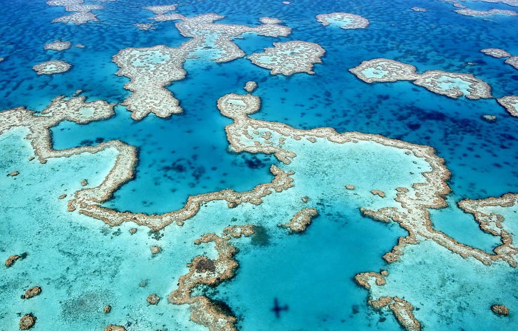 The Great Barrier Reef by Ayanadak123 (https://commons.wikimedia.org/wiki/File:The_dazzling_colours_of_the_Great_Barrier_Reef_near_Airlie_Beach,_Whitsunday_Islands,_Queensland.jpg)