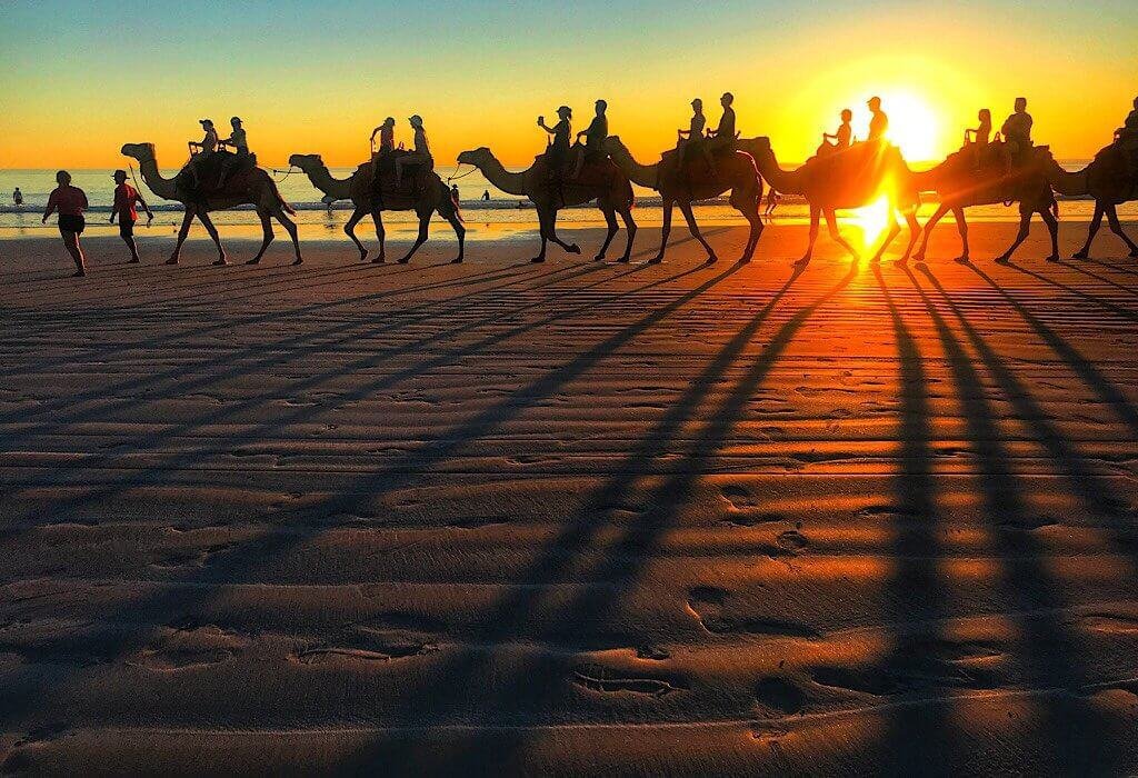 Camels on Cable Beach in Broome