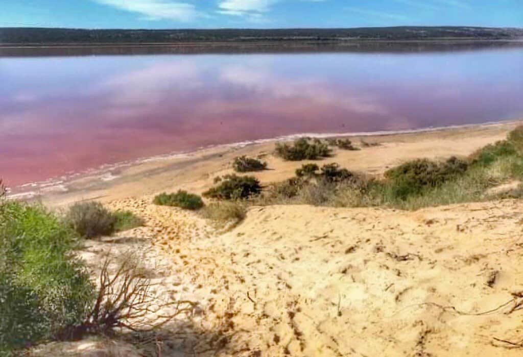 Pink water of the Hutt Lagoon