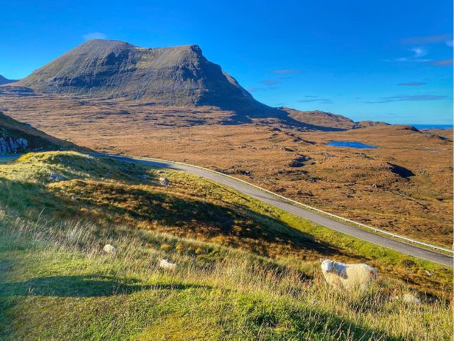 A mountain along the NC 500 with moorlands and sheep at the base