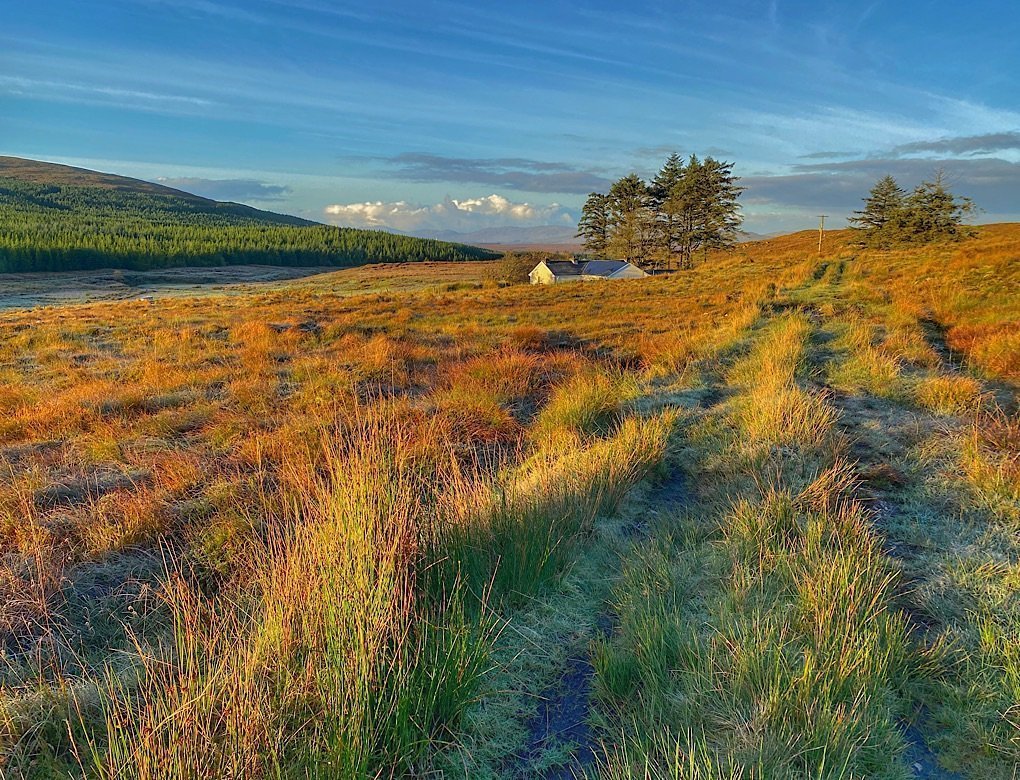 Our lodging on the moor