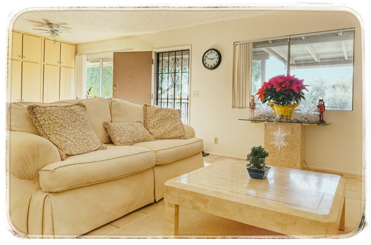 Clean living room with a white couch and poinsettia by the window.