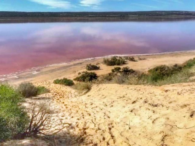 Pink water of the Hutt Lagoon